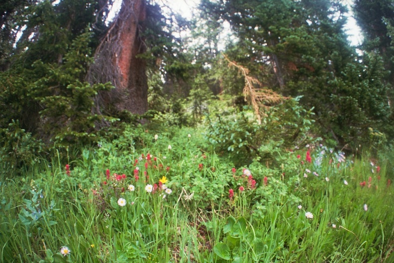 Lower Parika Lake 5.jpg